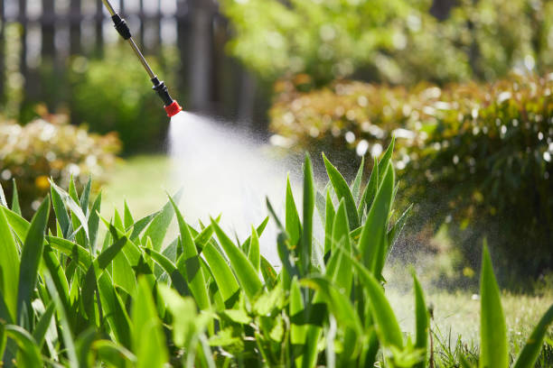 Tamper-Resistant Bait Stations for Rodents in Lakeview
